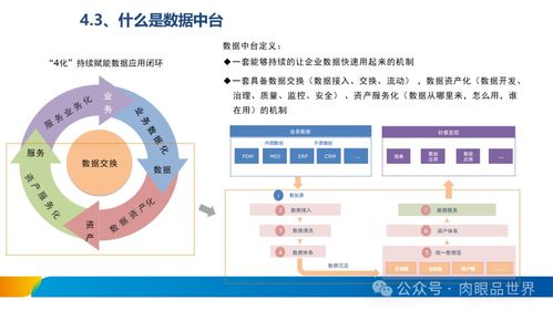 xx集團數據治理體系建設方案 